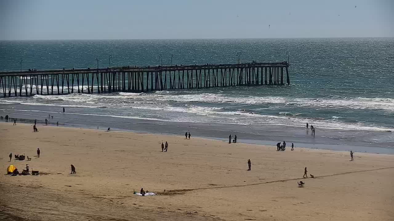 Pismo kalifornien surfcam