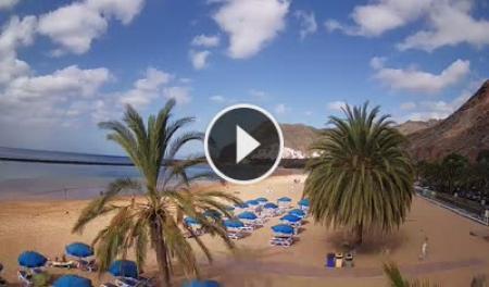 Playa de Las Teresitas (Tenerife) Fri. 10:30