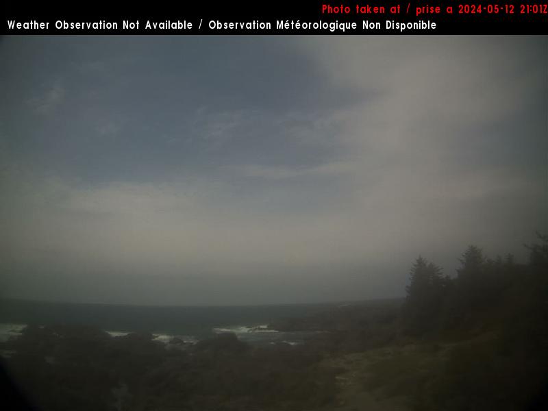 Ucluelet Ons. 14:11