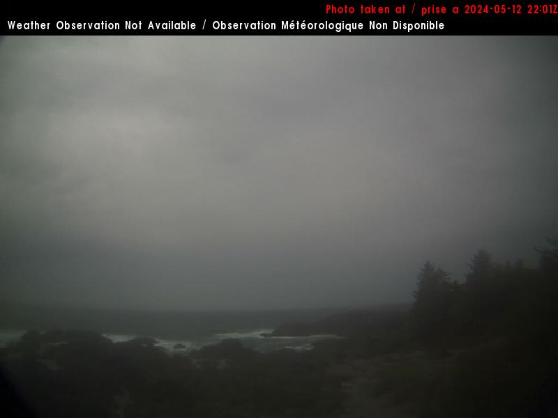 Ucluelet Ons. 15:11