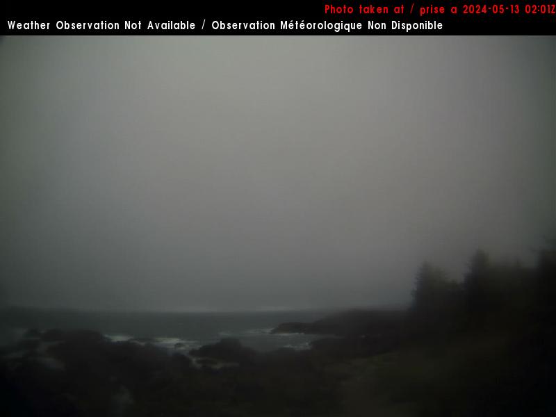 Ucluelet Ons. 19:11