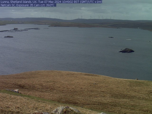 Vidlin (Shetland) Thu. 10:53