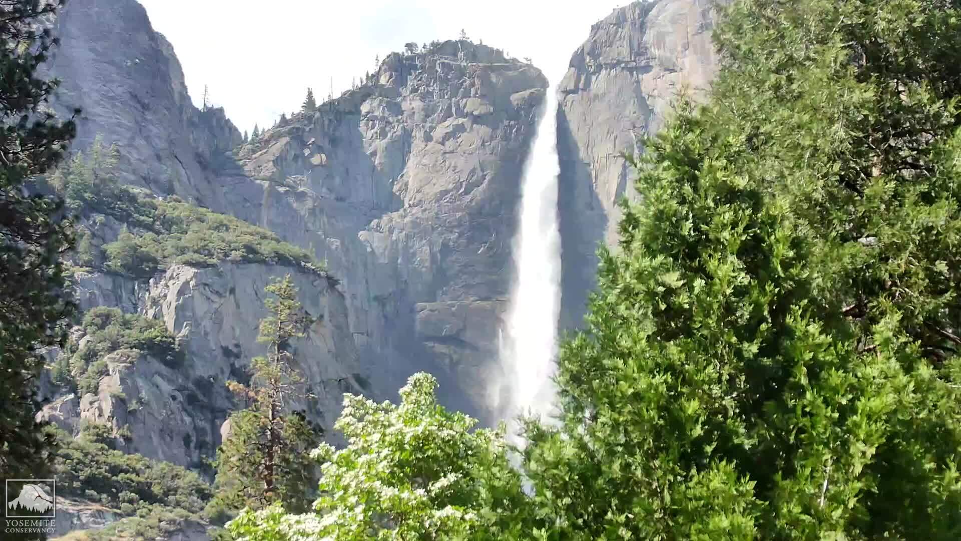 Yosemite Village, California Wed. 16:03