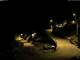 Campodolcino 16.05.2025 00:53