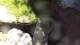 San Diego, California 08.05.2025 00:53