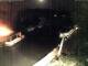 Eldenburg 26.05.2026 00:59