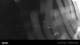 Jena 09.06.2025 00:46