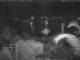 Quart-A-Nancy Point 16.05.2025 00:54