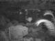 Quart-A-Nancy Point 11.05.2025 00:54