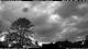Süderlügum 09.06.2025 00:55