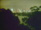 Linley Point 01.07.2025 00:54