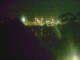 Linley Point 15.06.2025 00:54