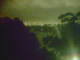 Linley Point 11.05.2025 00:55