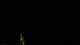 De Koog (Texel) 01.05.2025 00:47
