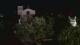 Farmers Branch, Texas 09.06.2025 00:11