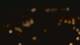 San Antonio, Texas 11.05.2025 00:13