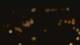 San Antonio, Texas 11.05.2025 00:13
