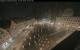 Augsburg 09.06.2025 00:47