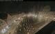 Augsburg 09.06.2025 00:47