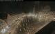 Augusta 30.04.2025 00:47