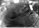 Spodsbjerg (Langeland) 01.05.2025 00:59