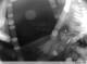 Spodsbjerg (Langeland) 16.03.2025 00:59