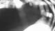 Schwinge 09.06.2025 00:59