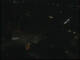 Gottinga 04.07.2025 00:47