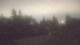 Medina, Washington 04.08.2026 00:16