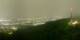 Uetliberg 12.05.2025 00:51