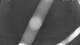 Gartow 01.05.2025 00:05