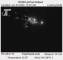Port Orford, Oregon 01.06.2025 00:05