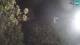 Povile 01.05.2025 00:06