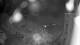 Millersburg, Pennsylvania 15.06.2025 00:22