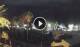 Costa Teguise (Lanzarote) 30.04.2025 00:06