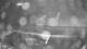 Outer Island, Connecticut 30.04.2025 00:23