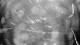 Outer Island, Connecticut 09.06.2025 00:23