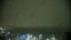 Chantilly, Virginia 14.06.2025 00:27