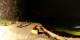 Verbier 21.06.2025 00:56