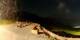 Verbier 15.07.2025 00:56