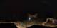 Aragnouet 15.06.2025 00:06