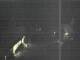 Hessisch Oldendorf 01.05.2025 00:08