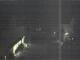 Hessisch Oldendorf 30.04.2025 00:08