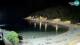 Mali Lošinj 12.05.2025 00:08