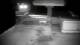 Zieleniec 15.06.2025 00:09