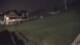 Zieleniec 15.06.2025 00:10