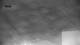 Carvalhal 06.07.2025 00:01
