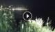 Addaura 02.07.2025 00:11