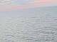 AIDAbella 15.06.2025 00:11
