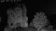 Mandelsloh 03.07.2025 00:12